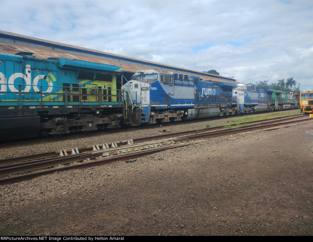 RUMO 9866